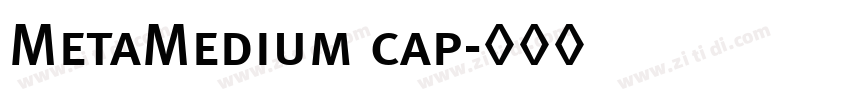 MetaMedium cap字体转换 MetaMedium cap字体转换